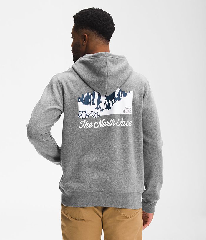 Sudadera Con Capucha The North Face Hombre Gris Mountain Scene Pullover 08124DTCG